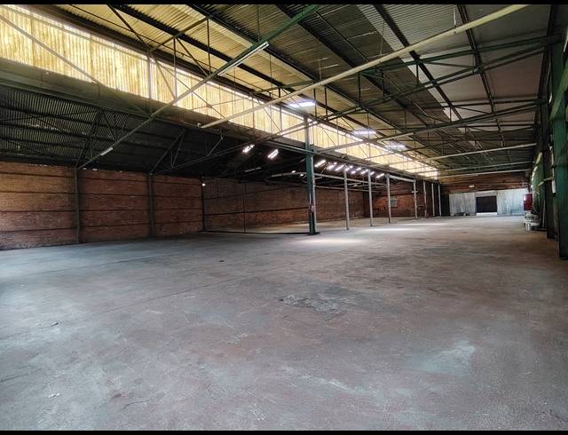 1,500M² WAREHOUSE TO LET IN DRIEHOEK